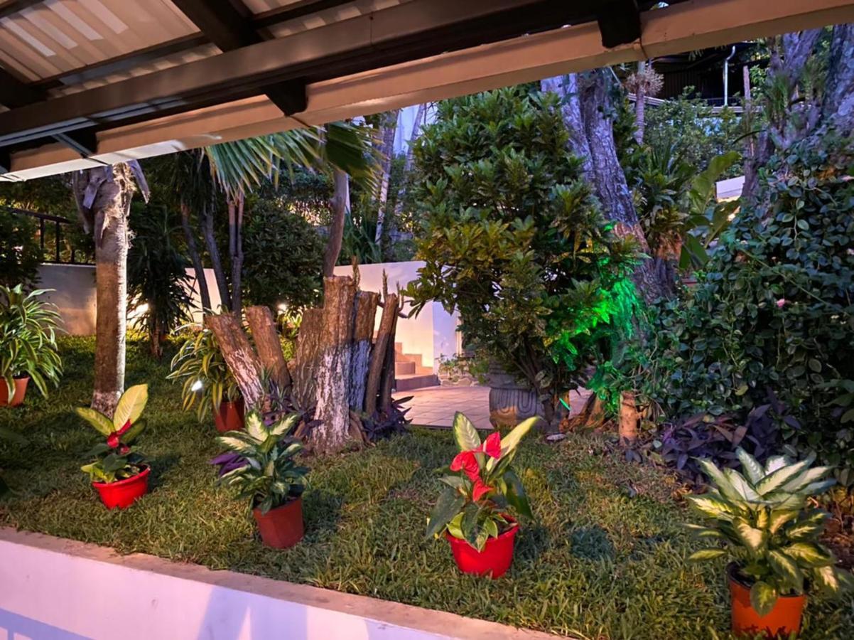 Casa Reflejos City Viewサンホセ エクステリア 写真