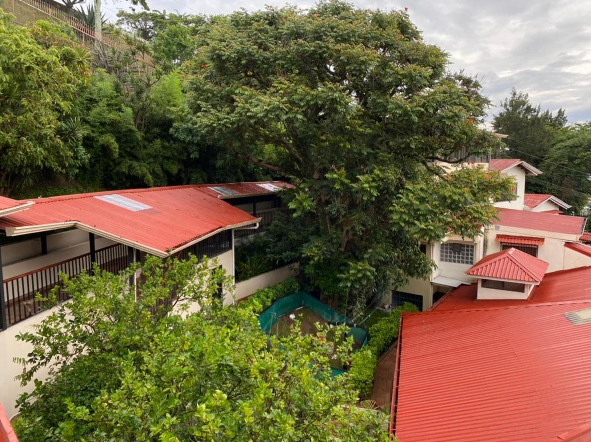Casa Reflejos City Viewサンホセ エクステリア 写真